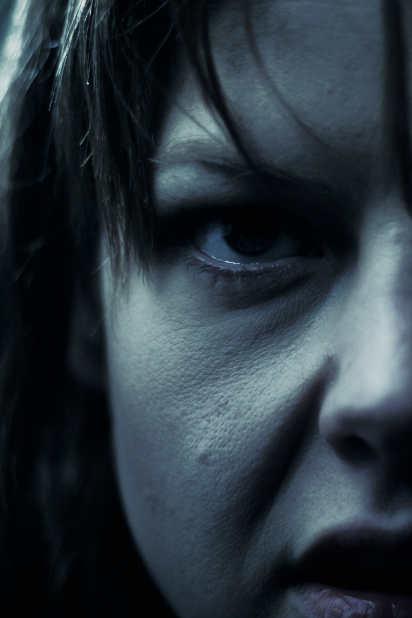 Schimmelreiter Cover